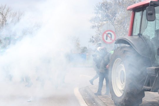 agrotes - mat - thessaloniki 12-2025